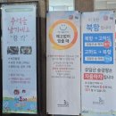 유달로(북항해상케이블카~보리마당길) | 목포 당일치기 여행 2부: 해상케이블카, 고하도, 유달산