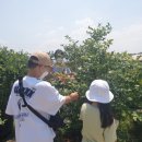 블루베리사슴농장 이미지