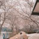 회동수원지 공중화장실 이미지