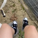 범고래상회 이미지