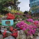 덕인노인전문요양원 | 울산요양원 추천 다양한 프로그램과 활동 덕인노인전문요양원