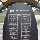 오대산산촌식당 | [강원도/평창군] 오대산 월정사 근처 맛집 “오대산 산촌” 에서 능이솥밥 산채정식 먹고 전나무길 산책...