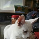 아베끄망펜션 이미지