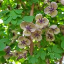 홈플러스 남양주진접점 이미지