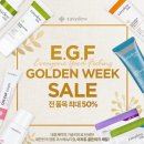 e골든기획