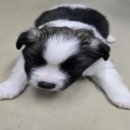 남지카공업사 이미지