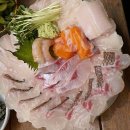 순수산 Daum카페