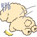 율무네애견 이미지