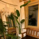 마녀의하루 이미지