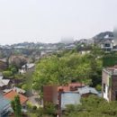 하남태평양약국 이미지