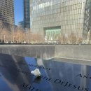 월스트리트 피자 이미지