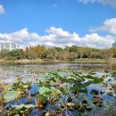 일산호수공원 이미지