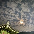 사기막골의 하루 이미지