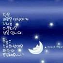 달님 Daum카페