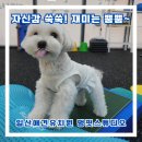 멍 핏 스튜디오 이미지