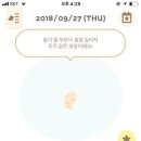 280데이즈 이미지