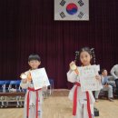 용인대 홍익 태권도장 이미지