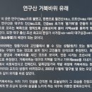 거북바위로 이미지