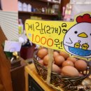 창원분식 - 남구 수영로 195-10 | 창원분식