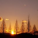 생극우체국 이미지