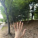 광주 농성동 네일샵 유지력 좋은 서리블리네일 부자네일 후기