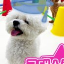 굿댕스쿨 이미지