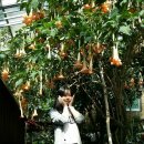 뒷골옛집 이미지