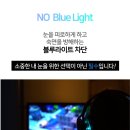 라이트코아