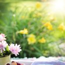 황금돼지갈비 이미지