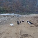 하늘바라기캠핑장 이미지