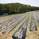 풀무골농장 이미지