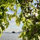 와온치과 이미지