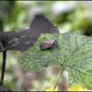 풍년수산 이미지