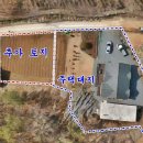 무릉도원면-33 Daum카페