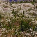 대구농업마이스터고등학교 이미지