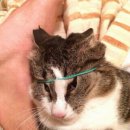 마이웨이PC방 이미지