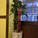 스지이찌(광장코아점) 이미지