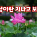 용해원 이미지