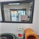 [유아체육] 놀이운동 이미지