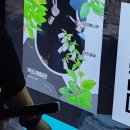 아침점심저녁 영등포점 | 서울 영등포 1박 2일 여행 | 타임스퀘어 실내 데이트 + 숙소 환불 사건 (JLPT 2급 시험 후기)