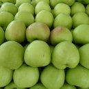 파란농장 이미지