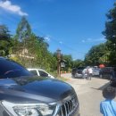 민들레울 이미지