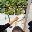 뜰위에농장 이미지