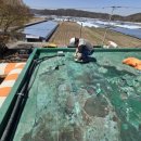 영오초등학교 이미지