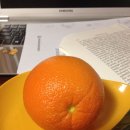 한 과일 이미지