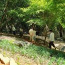 치유의숲 이미지