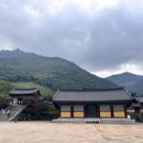 은하수커피 이미지