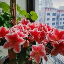 우검리 이미지