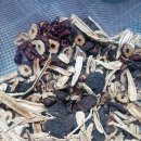 참좋은건강원 이미지