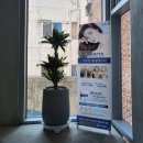 영창헤어샵 이미지